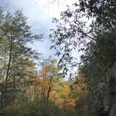 Review photo of Crabtree Falls Campground by Aakansha J., May 26, 2020