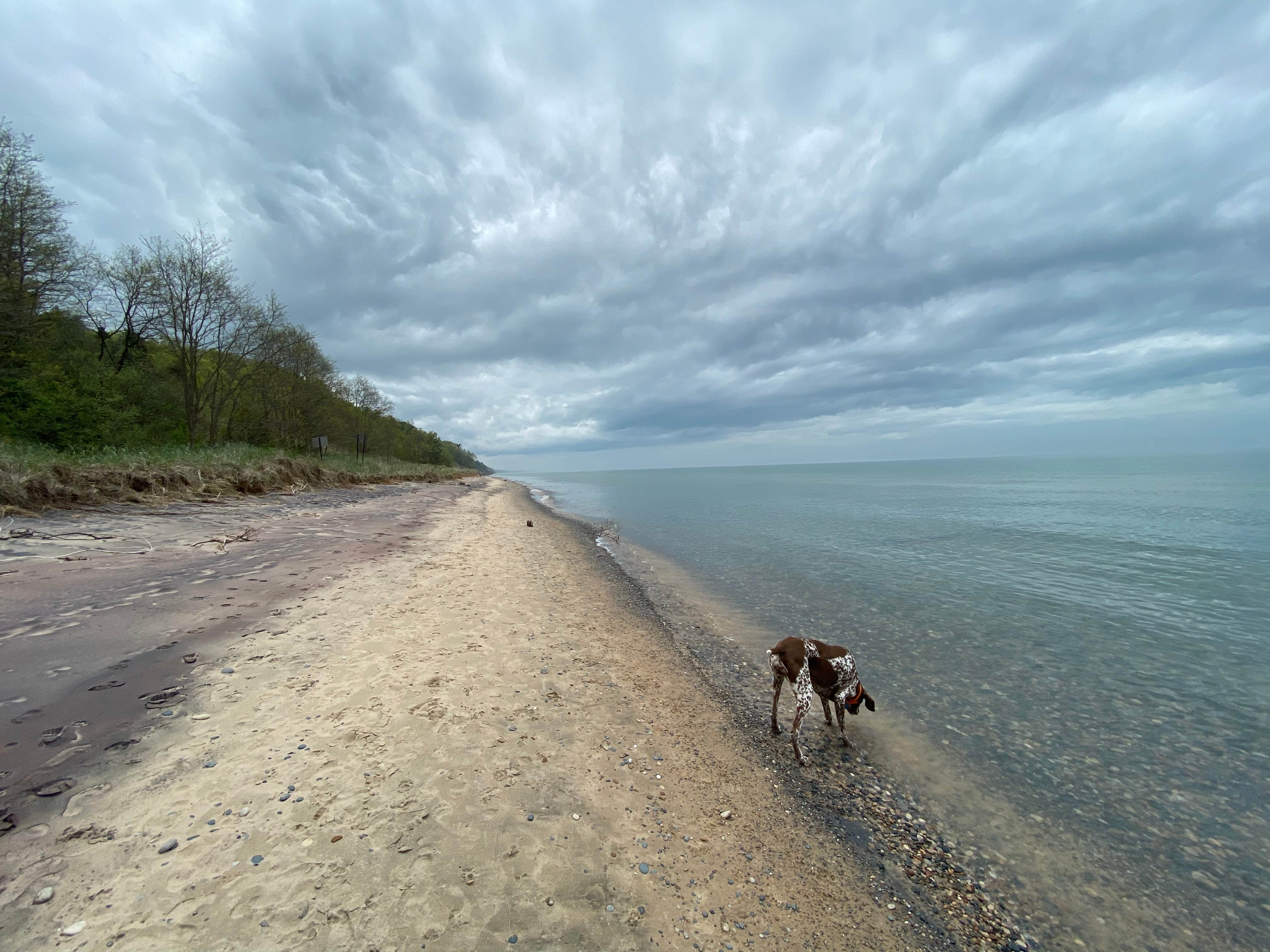 Chris M.'s photo of camping with pets at Covert Park Beach & Campground near Stevensville, MI