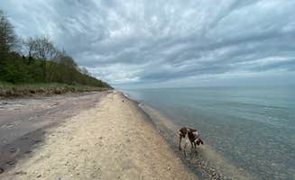Chris M.'s photo of camping with pets at Covert Park Beach & Campground near Benton Harbor, MI
