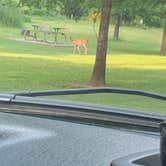 Review photo of Martin Dies, Jr. State Park Campground by Mindy M., May 26, 2020