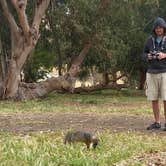 Review photo of Santa Cruz Island Scorpion Canyon Campground — Channel Islands National Park by Jen G., June 30, 2016