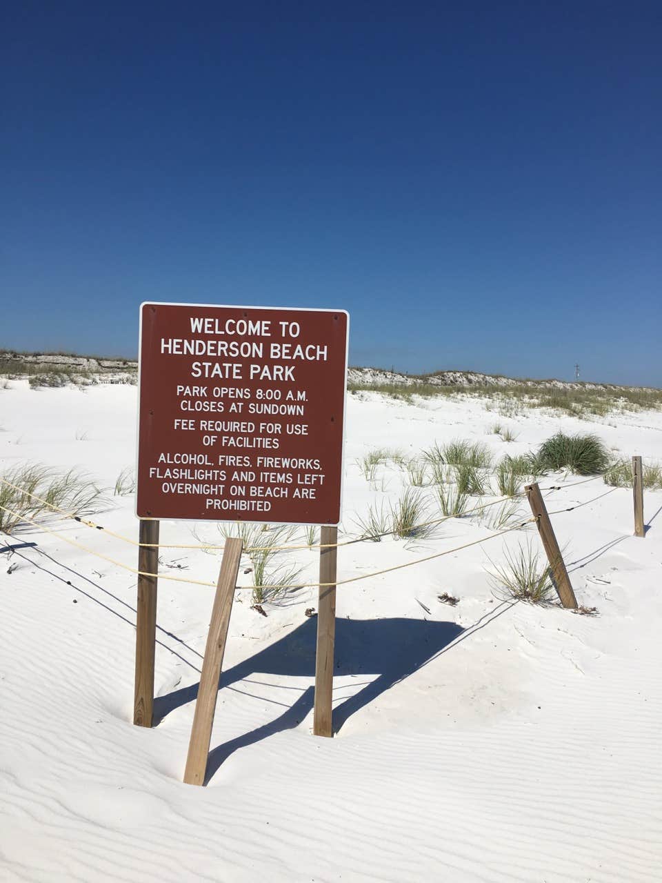 Camper submitted image from Henderson Beach State Park Campground - 2