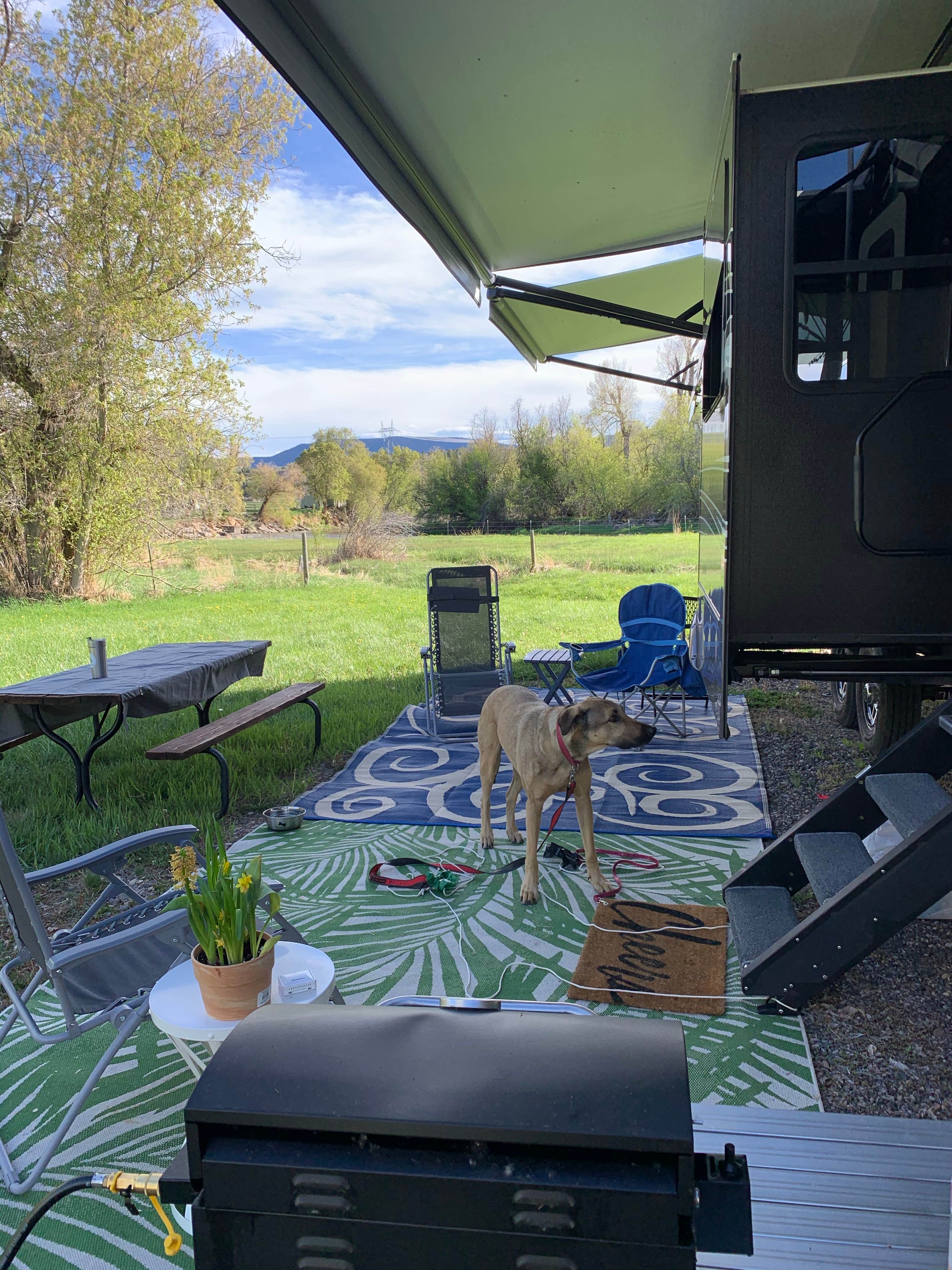 Gordon D.'s photo of camping with pets at River Camp RV Park near Maybell, CO