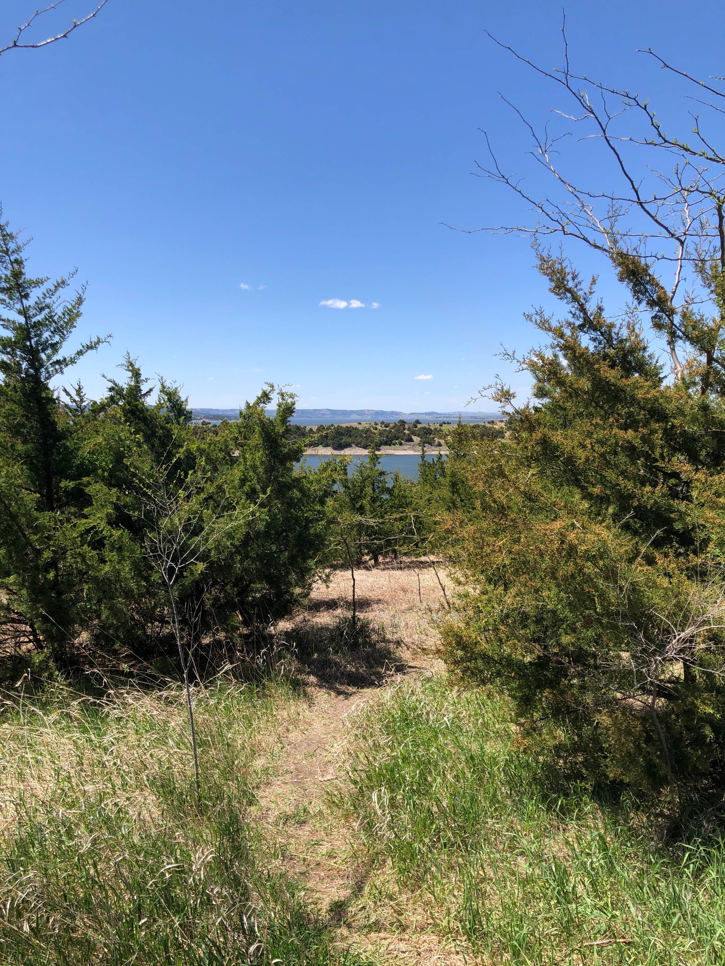 View to river from edge of campground.