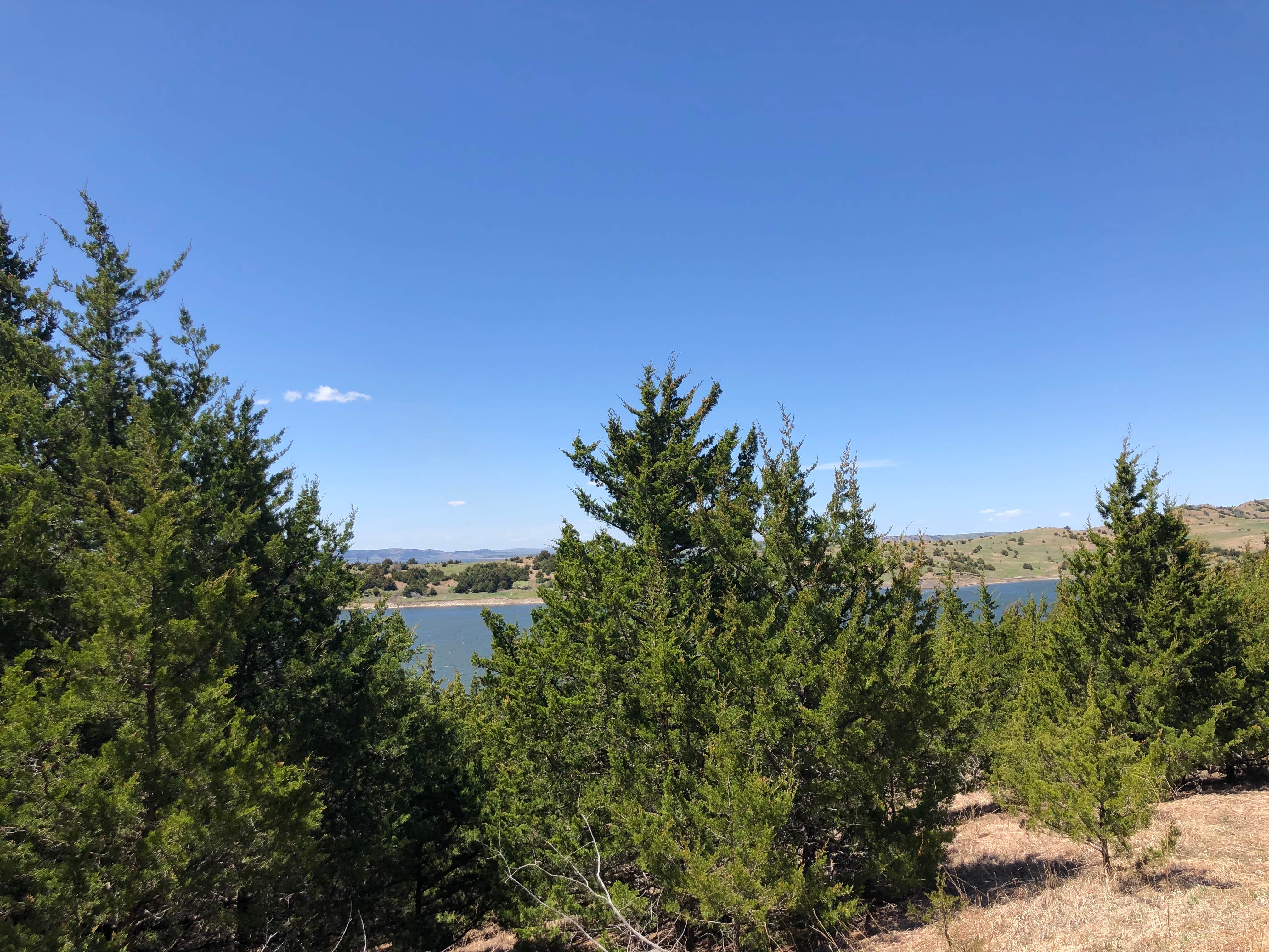 Camper-submitted photo at Pease Creek Recreation Area near Platte, SD