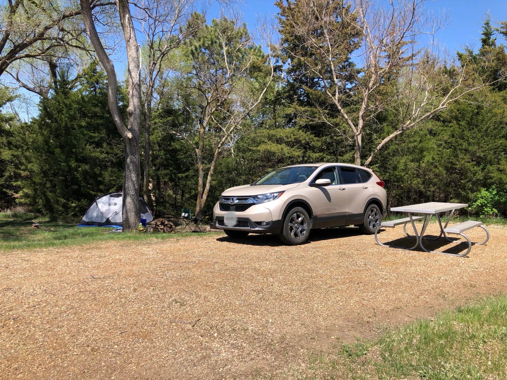 Camper-submitted photo at Pease Creek Recreation Area near Platte, SD