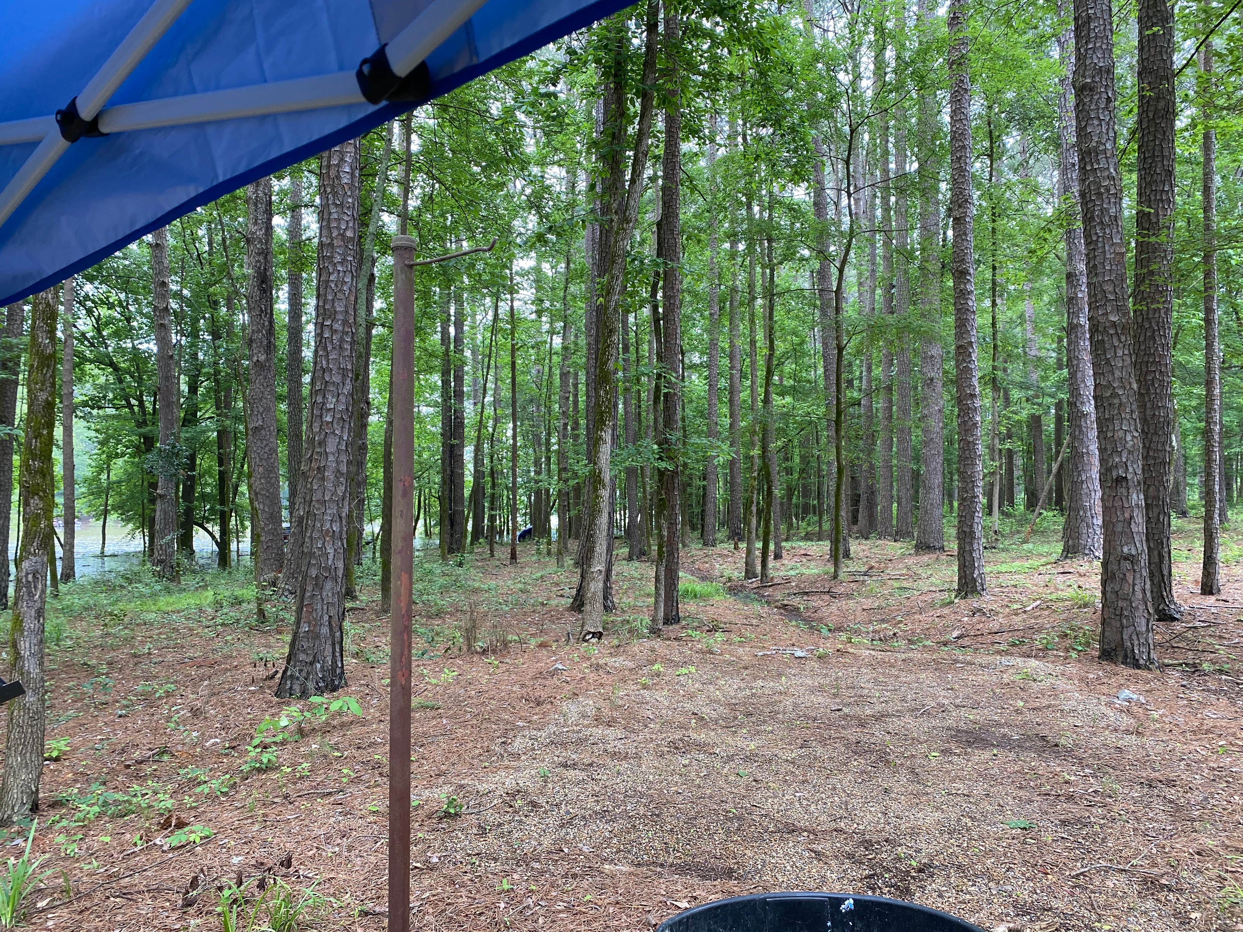 Camper-submitted photo at Point Cedar near Royal, AR