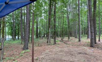Abby G.'s photo at Point Cedar near Bismarck, AR