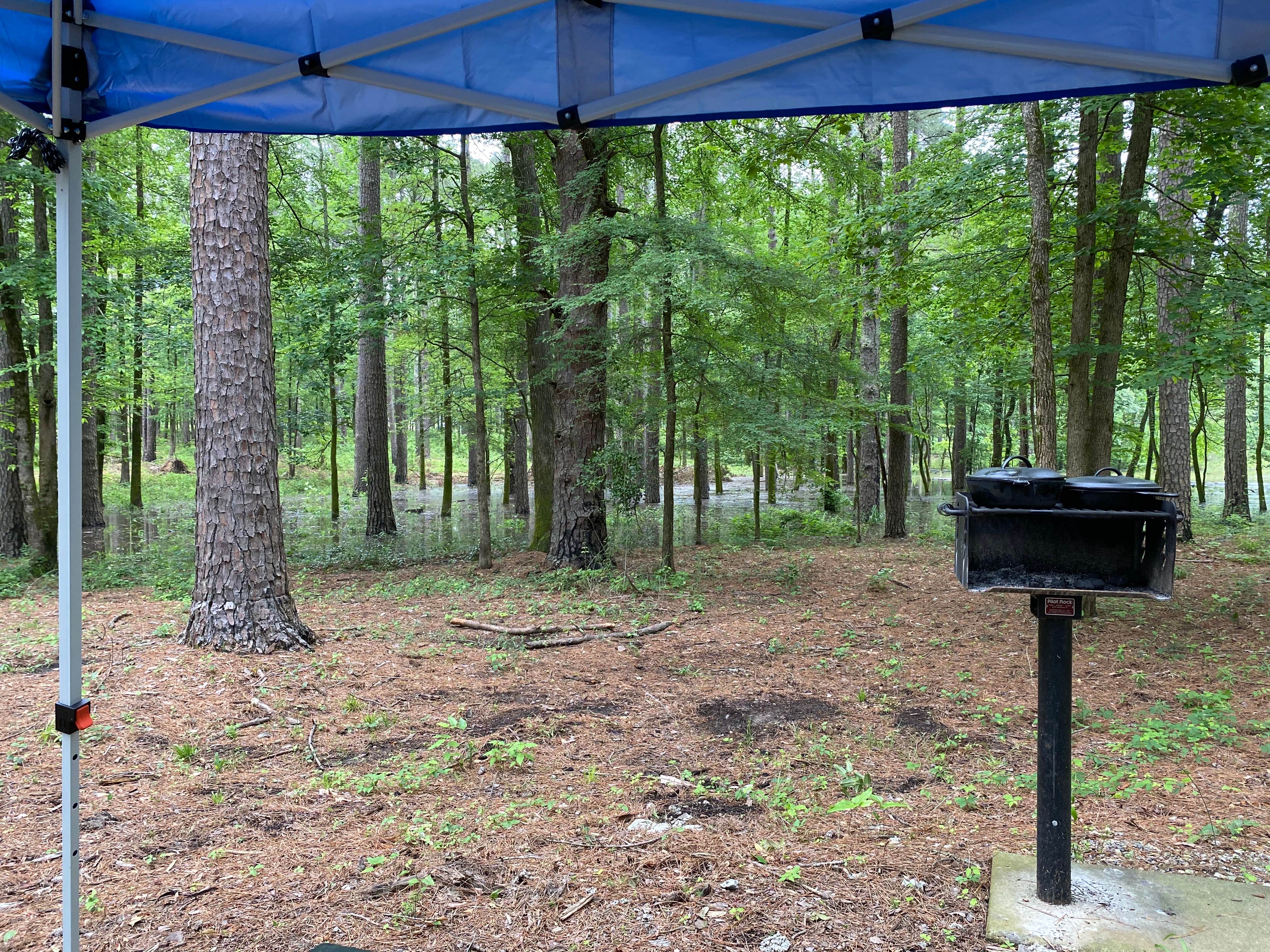 Abby G.'s photo of tent camping at Point Cedar near Benton, AR