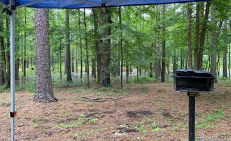 Abby G.'s photo of tent camping at Point Cedar near Jones Mill, AR