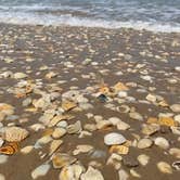 Review photo of Malaquite Campground - Padre Island National Seashore by Lisa B., May 26, 2020
