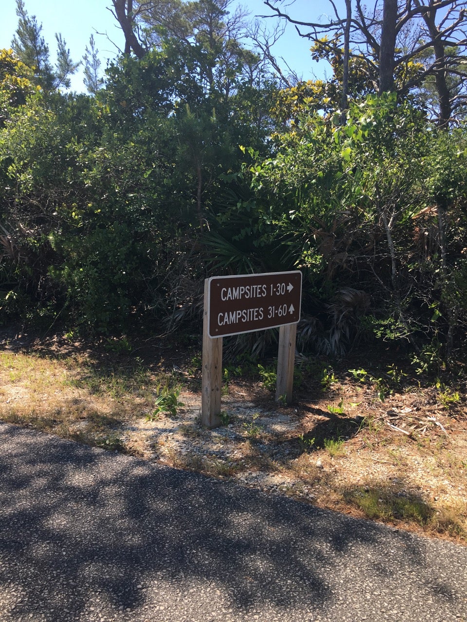 Camper submitted image from Henderson Beach State Park Campground - 4