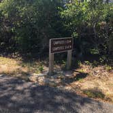 Review photo of Henderson Beach State Park Campground by Asher K., October 1, 2017