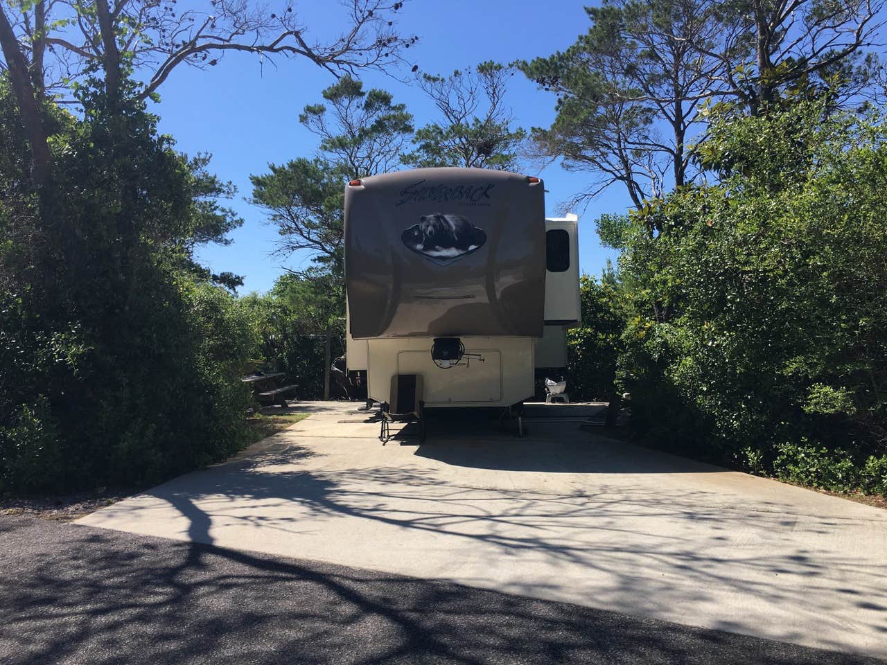 Camper submitted image from Henderson Beach State Park Campground - 4