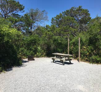 Camper-submitted photo from Henderson Beach State Park Campground - TEMPORARILY CLOSED