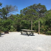 Review photo of Henderson Beach State Park Campground by Asher K., October 1, 2017