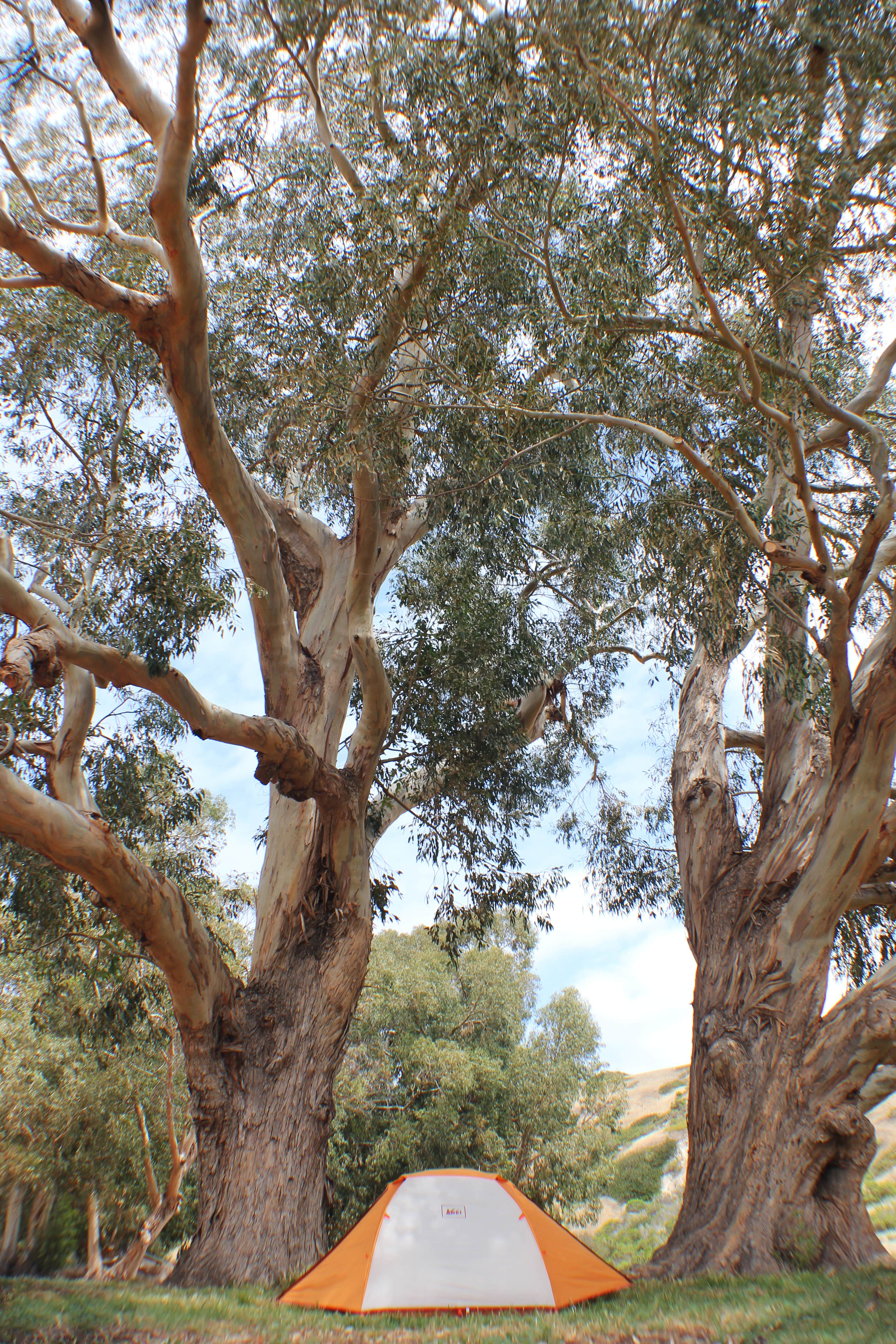 Jen G.'s photo at Santa Cruz Island Scorpion Canyon Campground — Channel Islands National Park near Channel Islands National Park