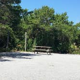 Review photo of Henderson Beach State Park Campground by Asher K., October 1, 2017