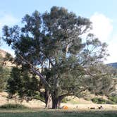 Review photo of Santa Cruz Island Scorpion Canyon Campground — Channel Islands National Park by Jen G., June 30, 2016