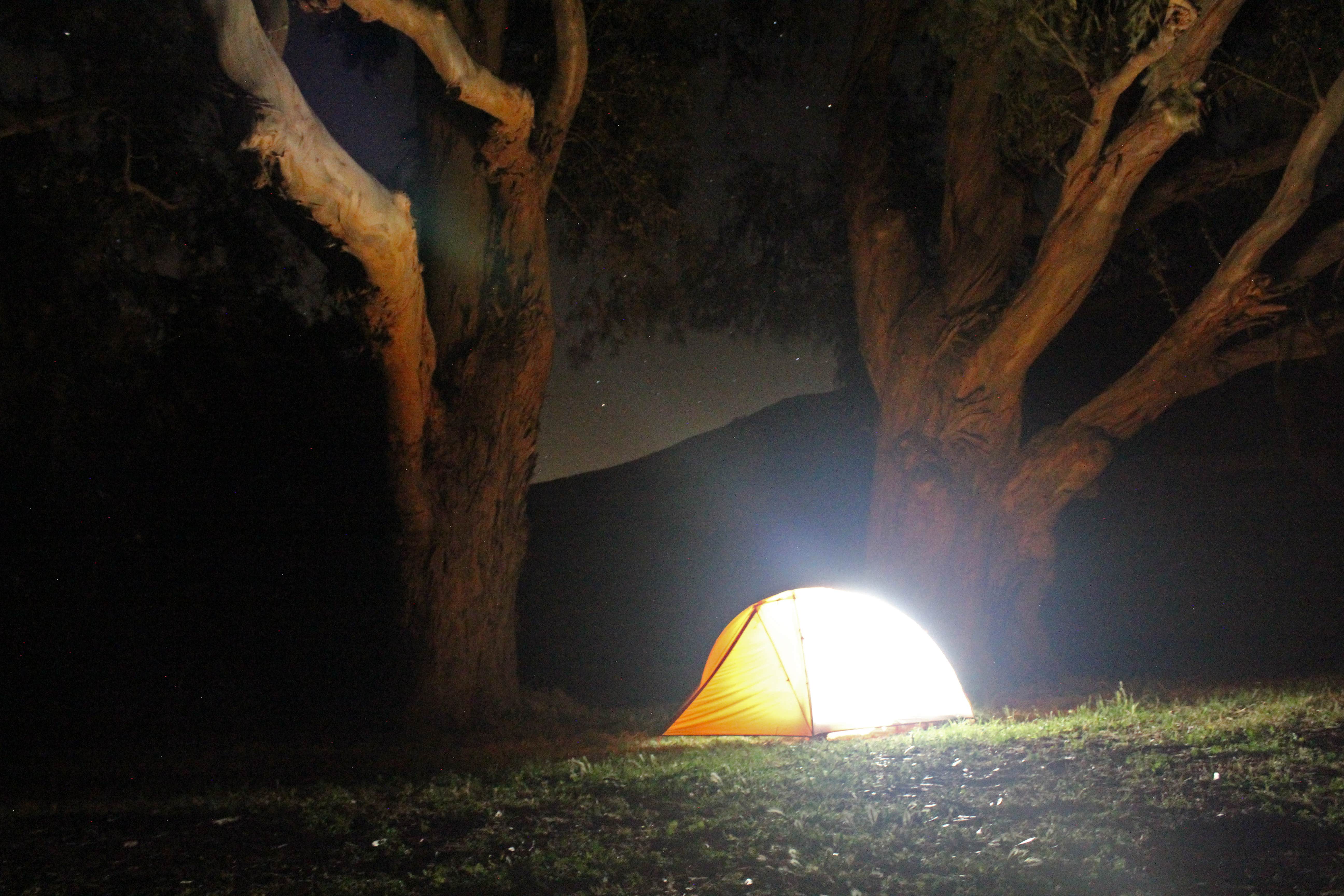 Camper submitted image from Santa Cruz Island Scorpion Canyon Campground — Channel Islands National Park - 2