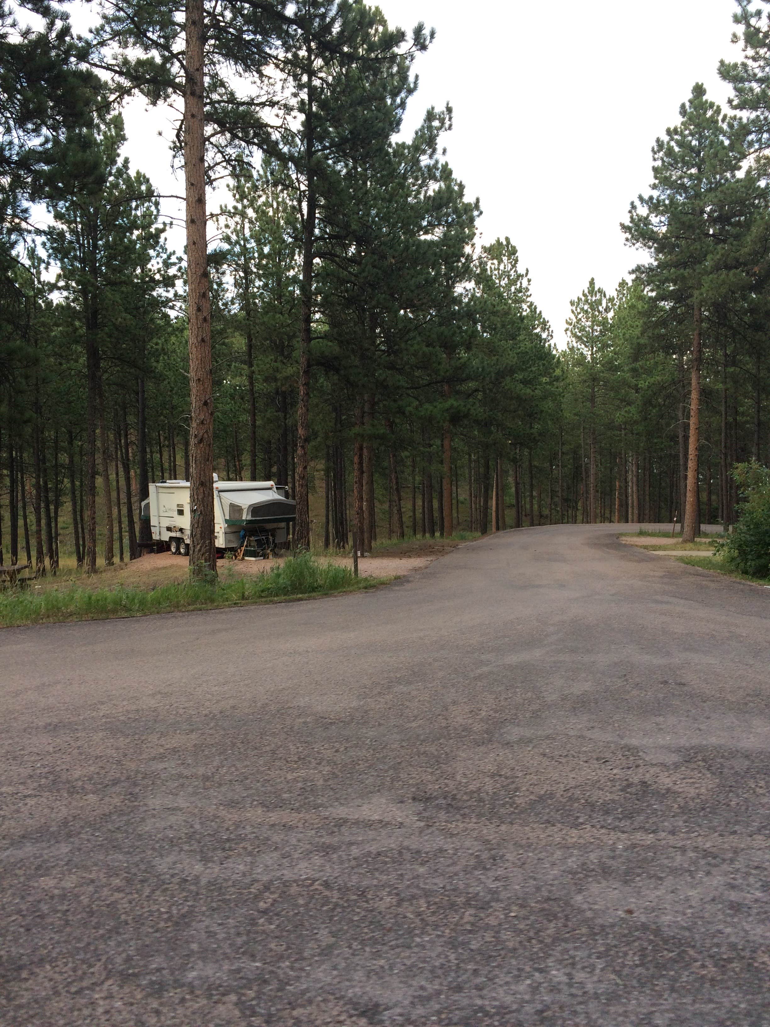 Camper-submitted photo at Pactola Reservoir Campground near Black Hills National Forest