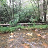 Review photo of Panther Creek Recreation Area Camping by Asher K., October 1, 2017