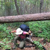 Review photo of Panther Creek Recreation Area Camping by Asher K., October 1, 2017