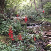 Review photo of Panther Creek Recreation Area Camping by Asher K., October 1, 2017