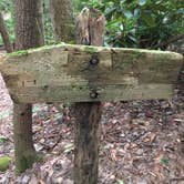 Review photo of Panther Creek Recreation Area Camping by Asher K., October 1, 2017