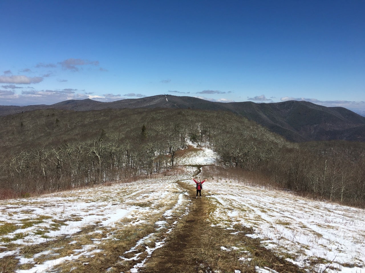 Camper submitted image from Siler Bald - 3