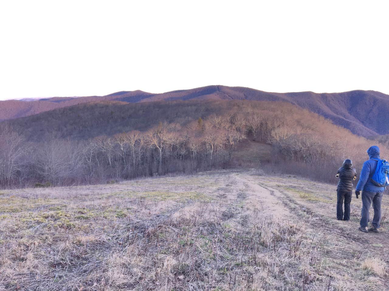 Camper submitted image from Siler Bald - 5