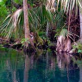 Review photo of Silver Springs State Park Campground by Ray P., May 26, 2020