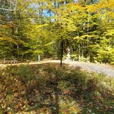 Review photo of Quaker Area — Allegany State Park State Park by Nancy W., May 26, 2020