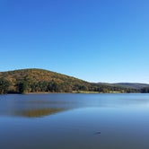 Review photo of Allegany State Park — Allegany State Park State Park by Nancy W., May 26, 2020