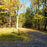 Review photo of Quaker Area — Allegany State Park State Park by Nancy W., May 26, 2020