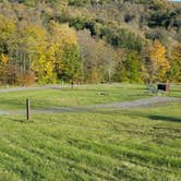 Review photo of Quaker Area — Allegany State Park State Park by Nancy W., May 26, 2020