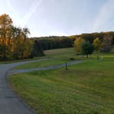 Review photo of Quaker Area — Allegany State Park State Park by Nancy W., May 26, 2020