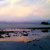 Review photo of Sea Rim State Park Campground by Lynn G., October 1, 2017