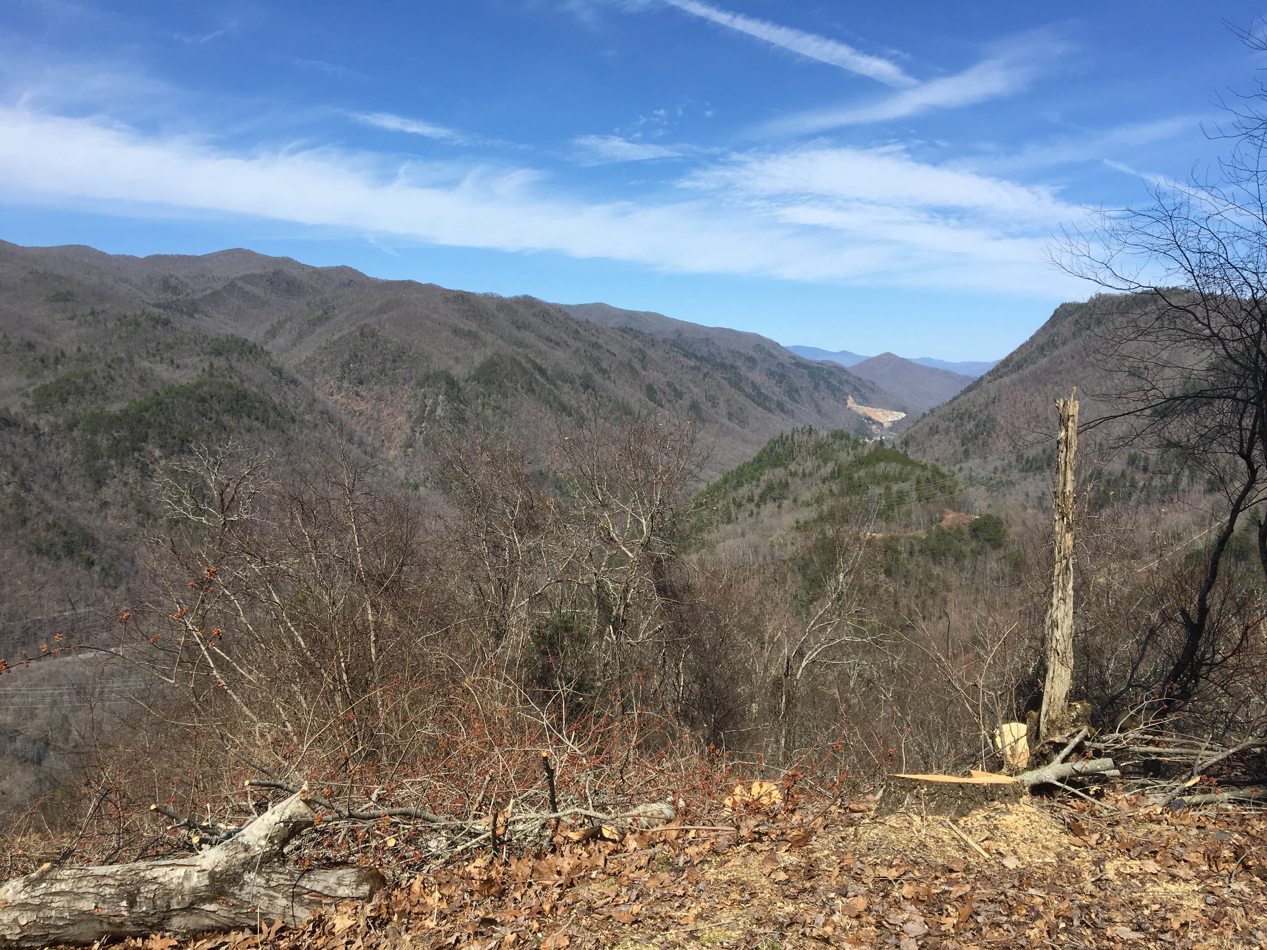 Camper submitted image from Walnut Cove Campground - 2