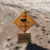 Review photo of Anastasia State Park Campground by Ray P., May 25, 2020