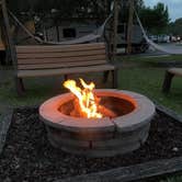 Review photo of Lazydays RV Resort by Ray P., May 25, 2020