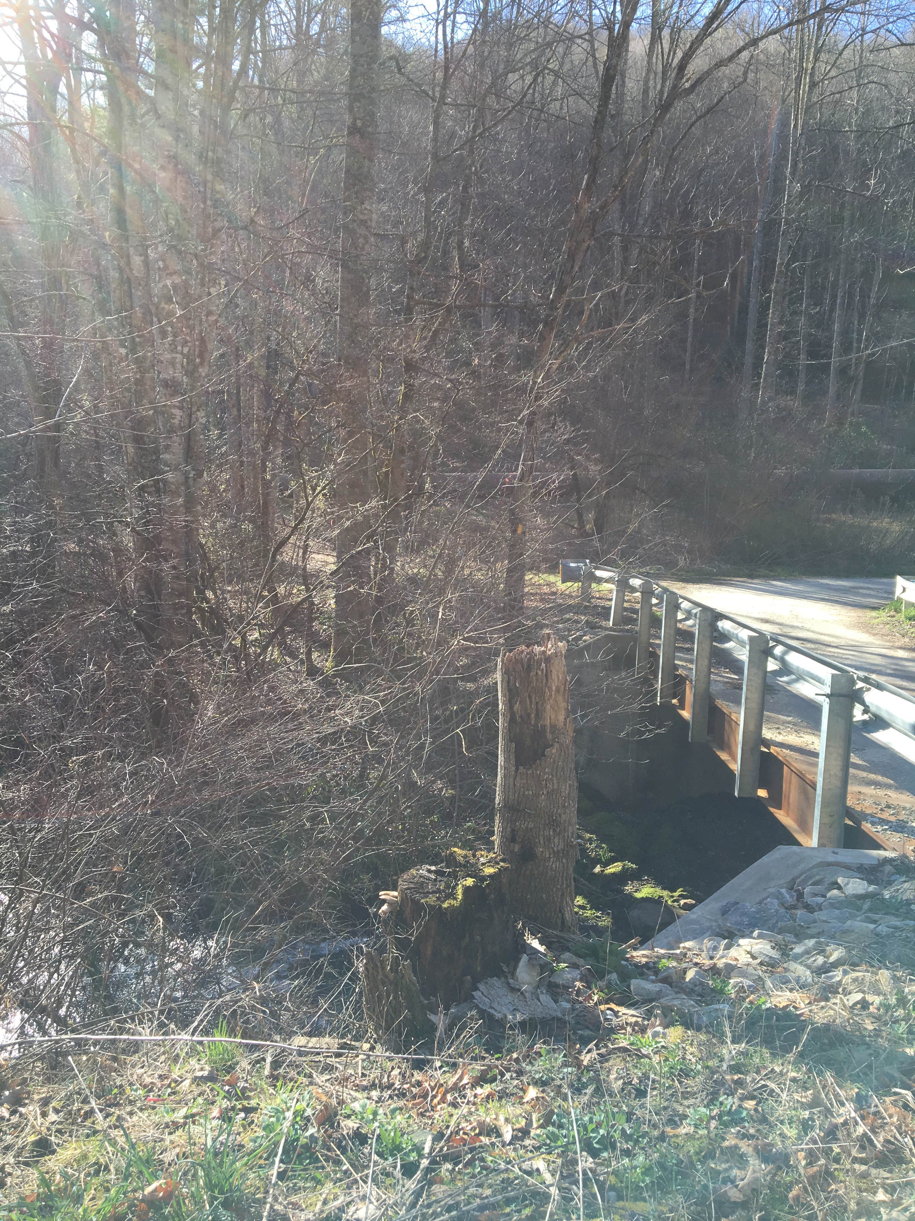 Camper-submitted photo at Walnut Cove Campground near Nantahala National Forest