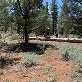 Review photo of Ten-X Campground — Grand Canyon National Park by Cassondra G., May 26, 2020
