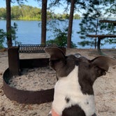 Review photo of COE J Strom Thurmond Lake Modoc Campground by Jen D., May 26, 2020