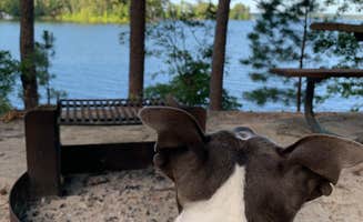 Jen D.'s photo of camping with pets at COE J Strom Thurmond Lake Modoc Campground near Ninety Six, SC
