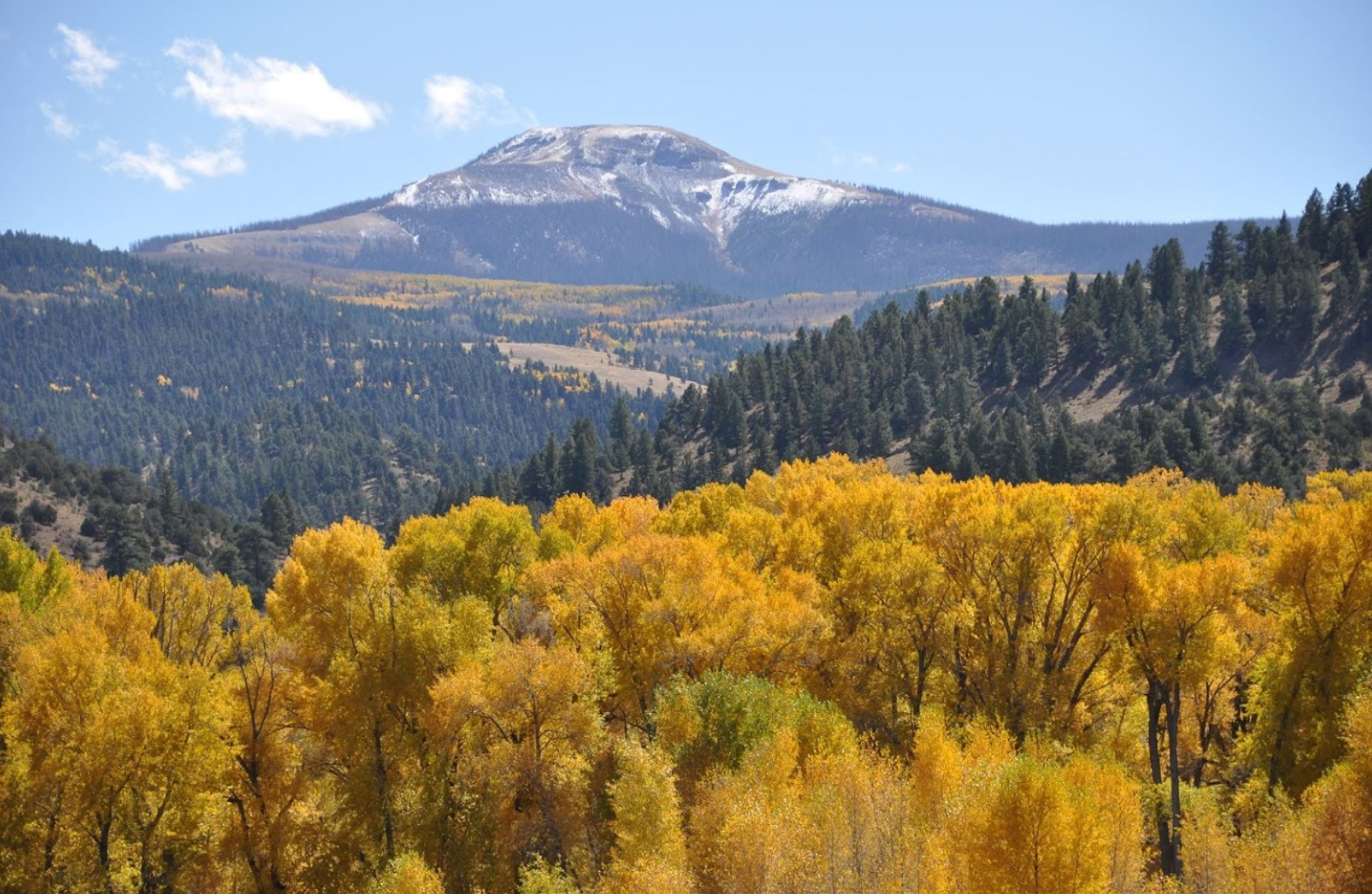 Camper-submitted photo at Chinook Cabins & RV Park near Del Norte, CO