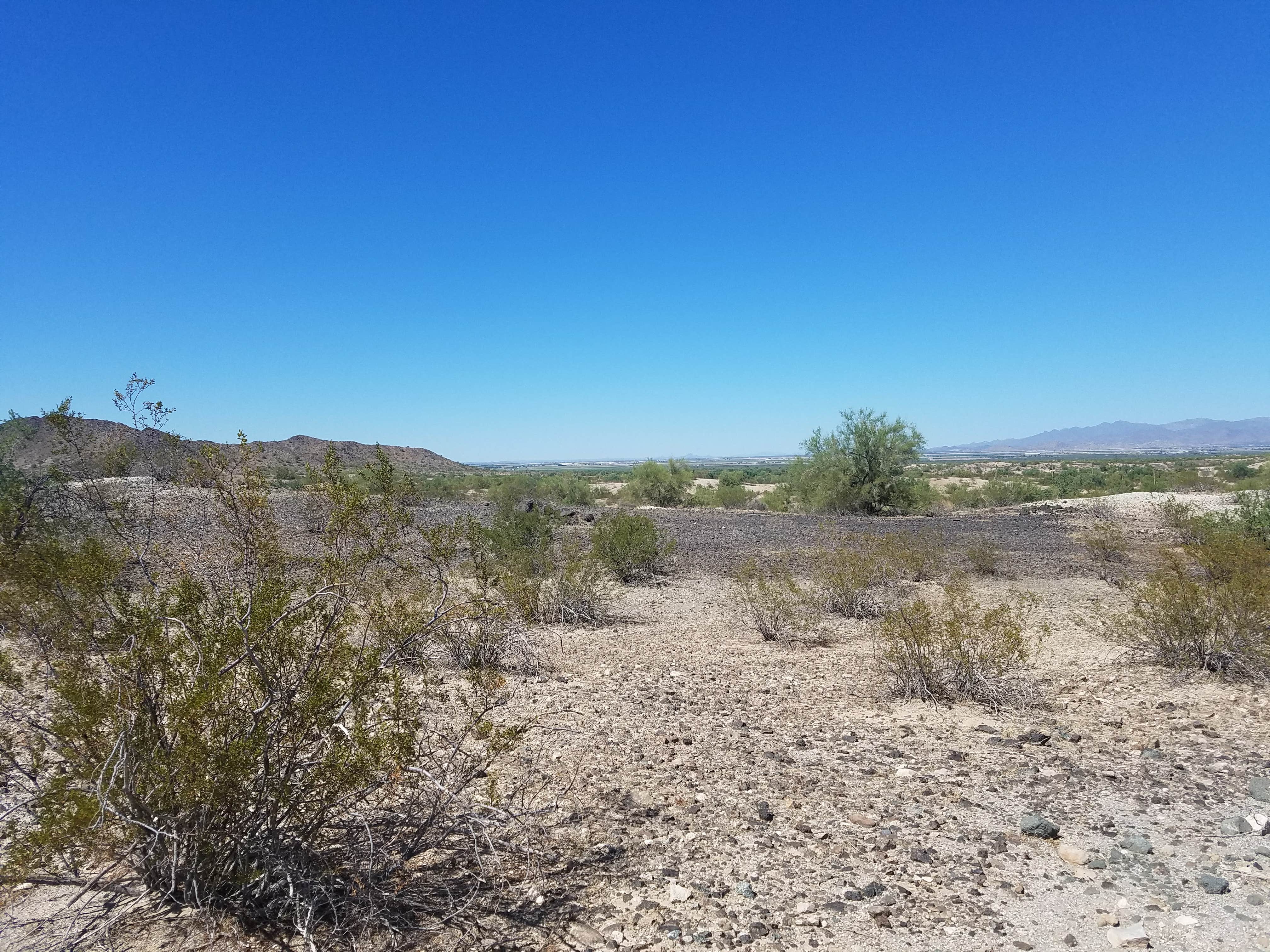 Camper submitted image from Box Wash Dispersed Camping - PERMANENTLY CLOSED - 2