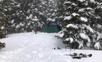 Taylor K.'s photo at McNeil Point Dispersed Camping near Rhododendron, OR
