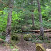 Review photo of Camas Creek Campground by Lauren D., May 26, 2020