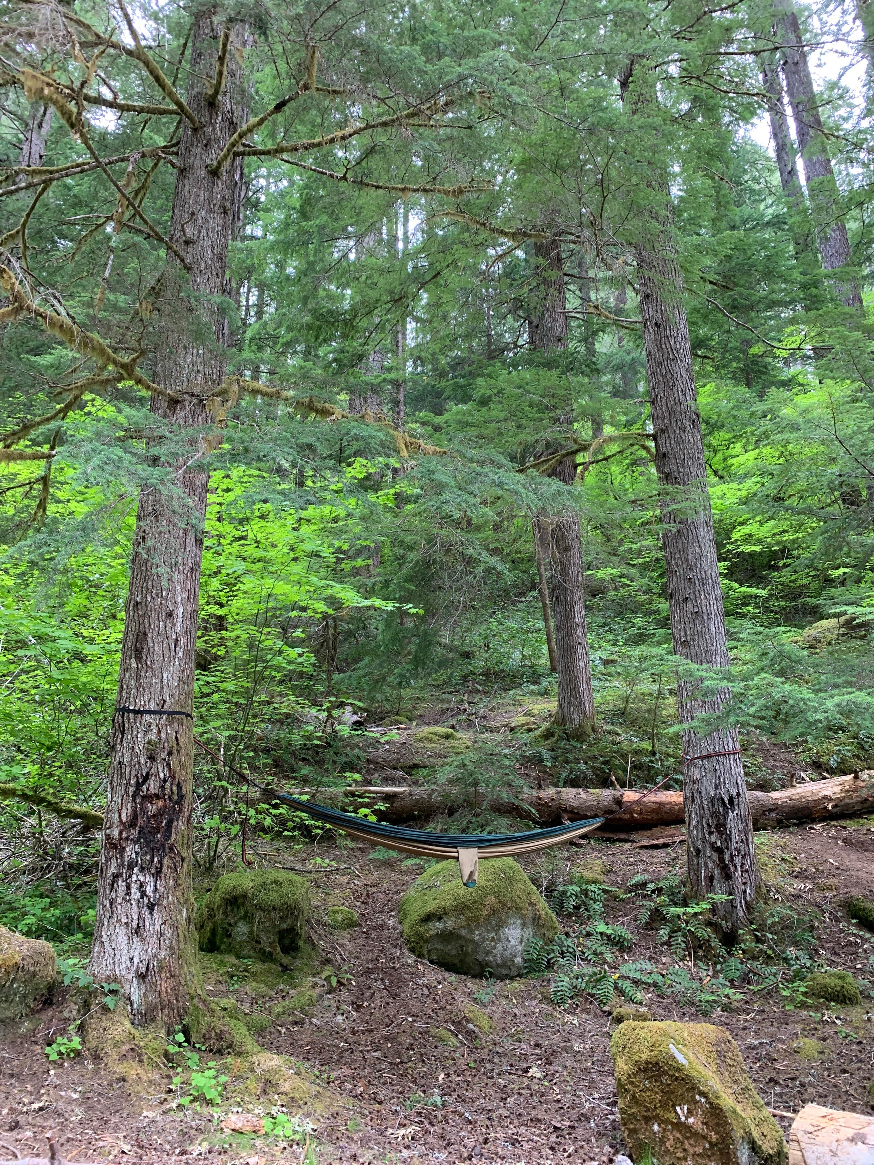 Camper submitted image from Camas Creek Campground - 2